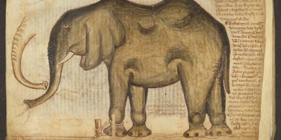 Foto de la página de un libro que muestra la ilustración medieval de un elefante encadenado de una pata. El elefante tiene las rodillas hinchadas.